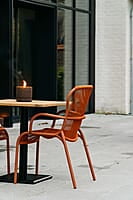 Loop Dining Chair