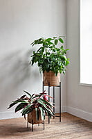 Vivi Plant Stand Small