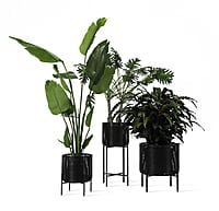 Ivo Plant Stand Medium