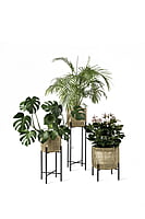 Vivi Plant Stand Small