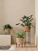 Vivi Plant Stand Small